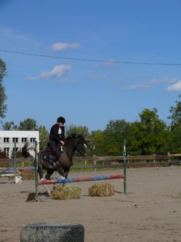 Babie Lato z Hucułami 2015